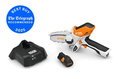 STIHL GTA 26 CORDLESS GARDEN PRUNER WITH AS 2 BATTERY AND AL 1 CHARGER - 10 CM / 4"